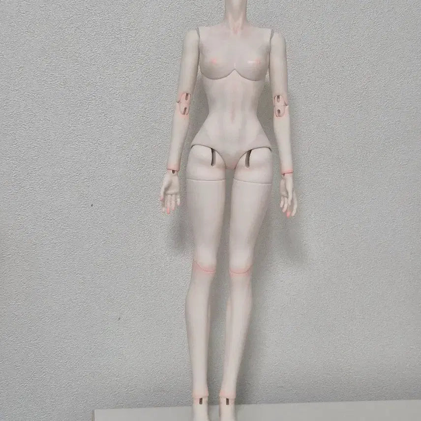 [BUNJANG] MSD Unused Unpainted Full Box Ball Jointed Doll Body - White / 풀박스 미사용 구관 MSD 미백 바디 구체관절인형 바디