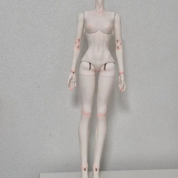 [BUNJANG] MSD Unused Unpainted Full Box Ball Jointed Doll Body - White / 풀박스 미사용 구관 MSD 미백 바디 구체관절인형 바디
