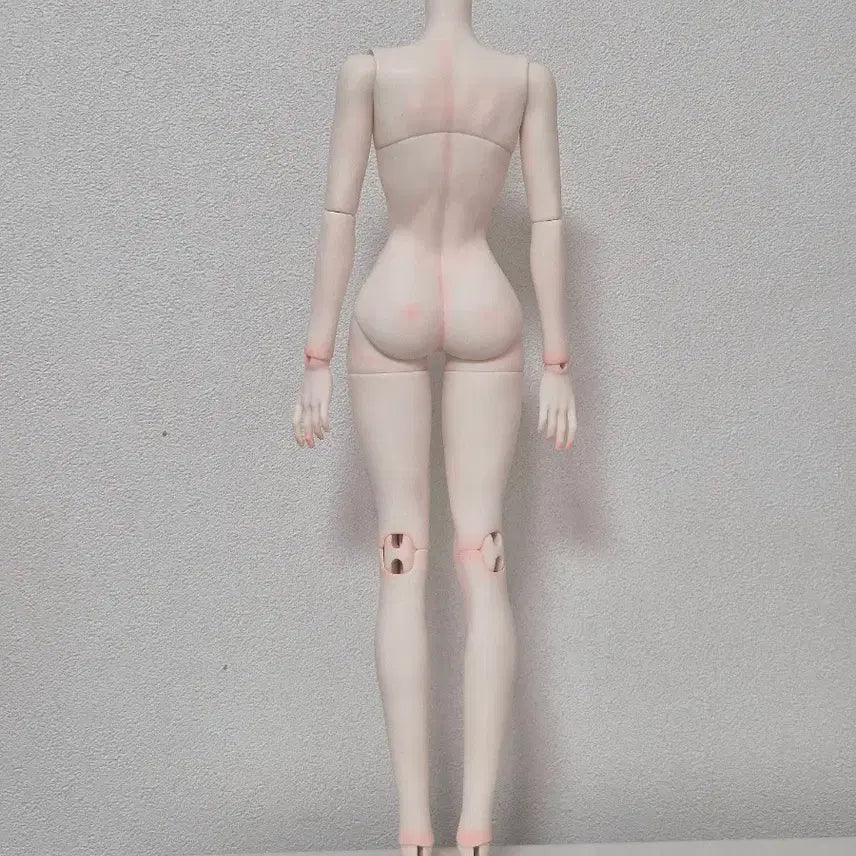 [BUNJANG] MSD Unused Unpainted Full Box Ball Jointed Doll Body - White / 풀박스 미사용 구관 MSD 미백 바디 구체관절인형 바디