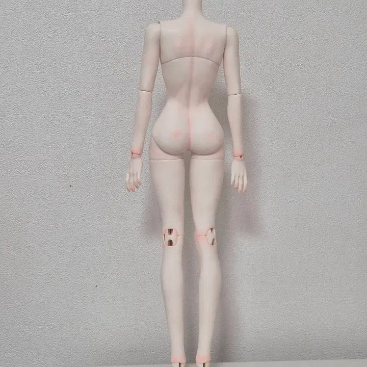 [BUNJANG] MSD Unused Unpainted Full Box Ball Jointed Doll Body - White / 풀박스 미사용 구관 MSD 미백 바디 구체관절인형 바디