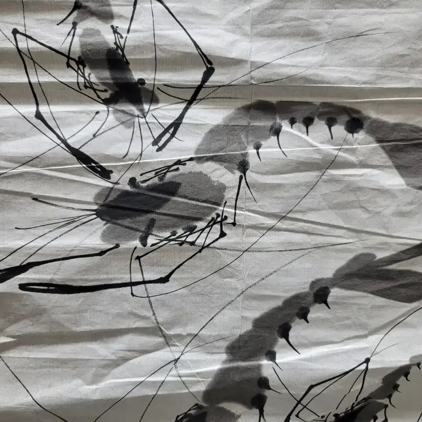 [BUNJANG] Unsigned Shrimp Ink Painting / 새우 그림 작가미확인