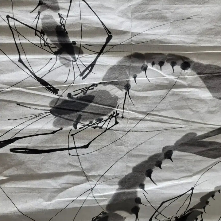 [BUNJANG] Unsigned Shrimp Ink Painting / 새우 그림 작가미확인