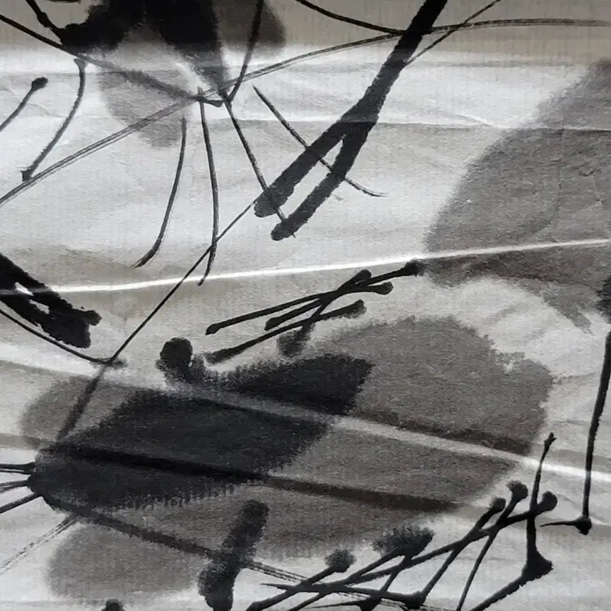 [BUNJANG] Unsigned Shrimp Ink Painting / 새우 그림 작가미확인