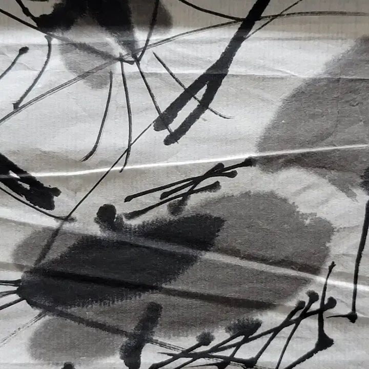 [BUNJANG] Unsigned Shrimp Ink Painting / 새우 그림 작가미확인
