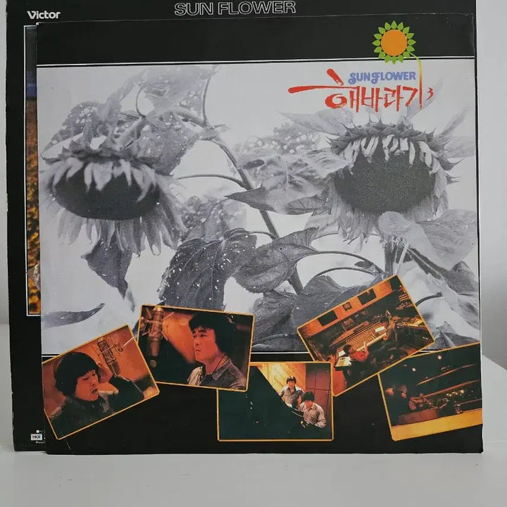 [BUNJANG] Sunflower 3rd Album LP / 해바라기 3집 LP