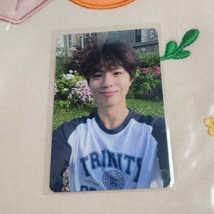 [BUNJANG] Park Bo Gum Taiwan Pop-up Photocard / 박보검 대만 팝업 포토카드 양도