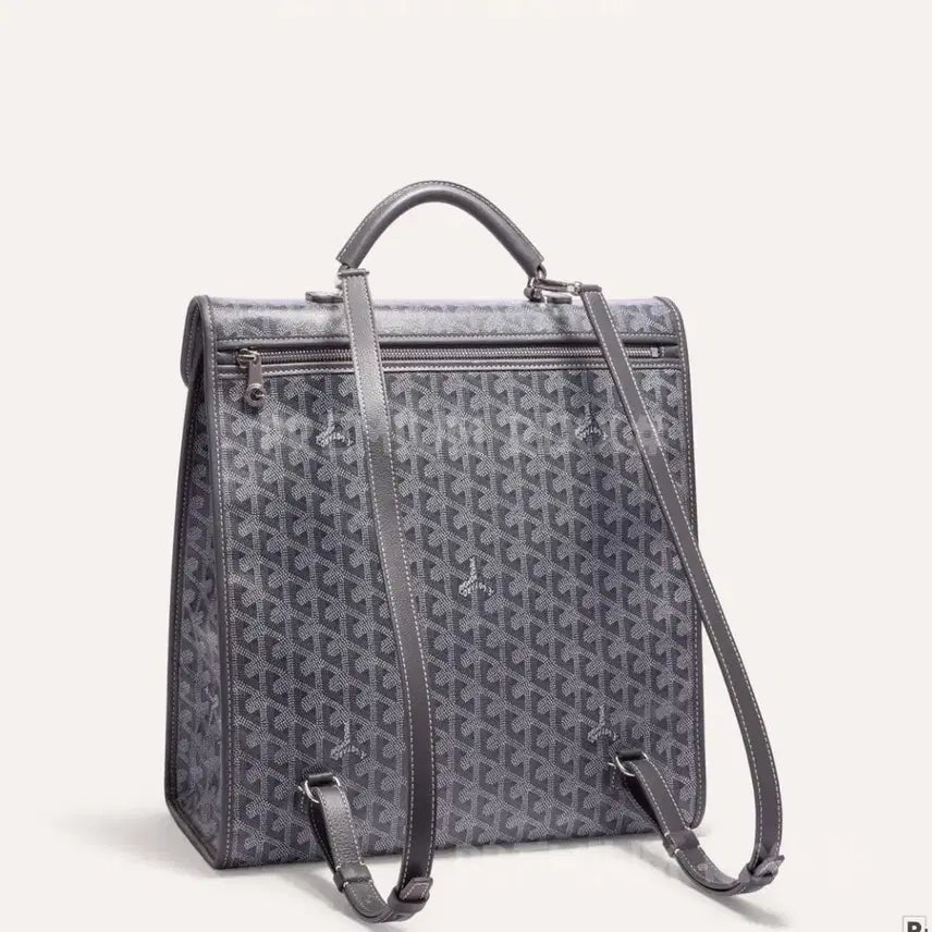 [BUNJANG] Goyard Backpack / 고야드 백팩