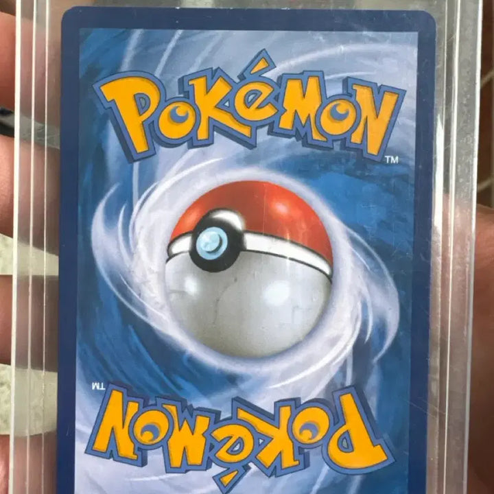[BUNJANG] Kingdra &amp; Piplup SR 2019 Limited Edition TAG TEAM Card / 거북왕 팽도리 SR2019한정 상태 a급