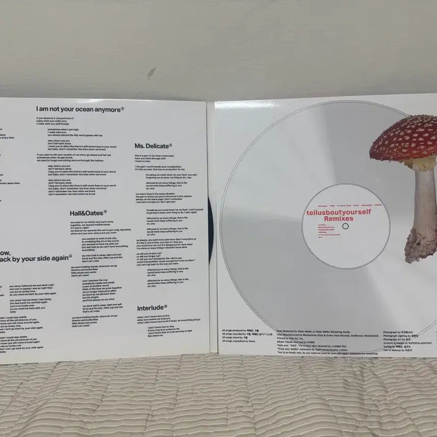 [BUNJANG] Yerin Baek 2nd Album LP / 백예린 2집 LP