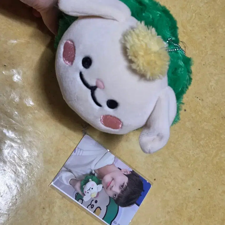 [BUNJANG] CRAVITY K-CRUVY Terri Doll Bundle Set / 크래비티 크크루 터리 양도