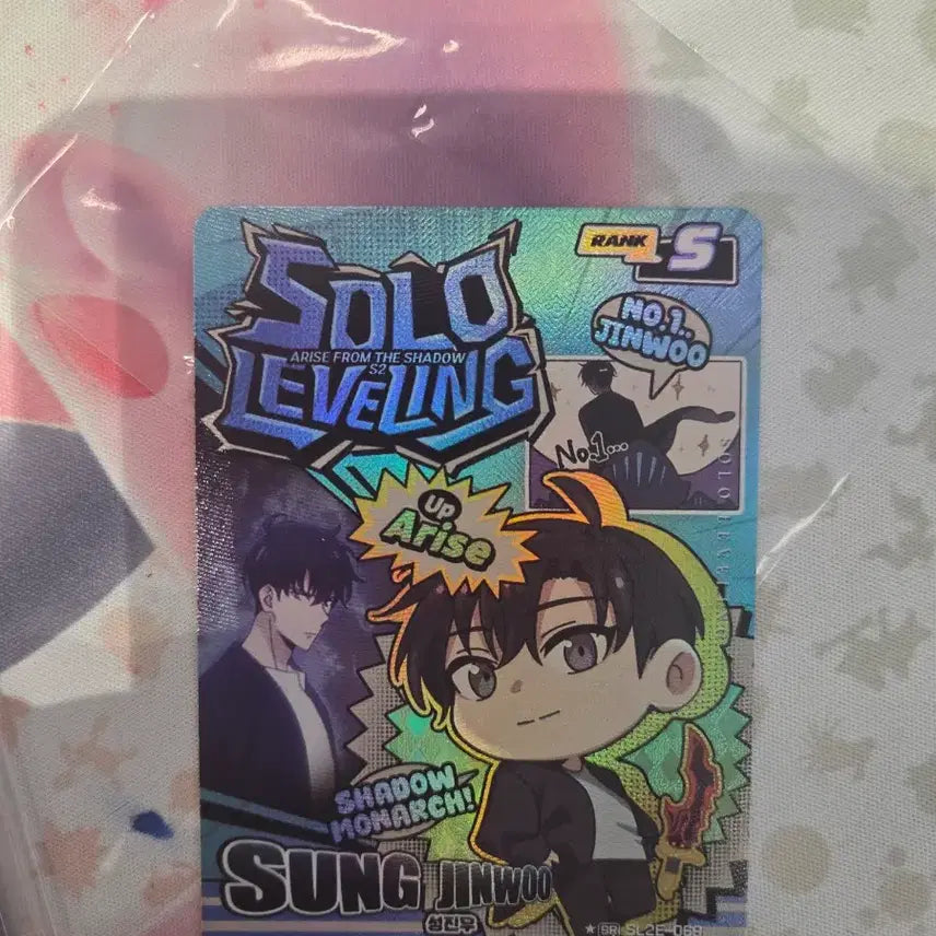 [BUNJANG] Solo Leveling Sung Jinwoo SR Card + Bonus Card / 나 혼자만 레벨업 카드 팔아보아요 택포 12 성진우 sr*+서비스 카드