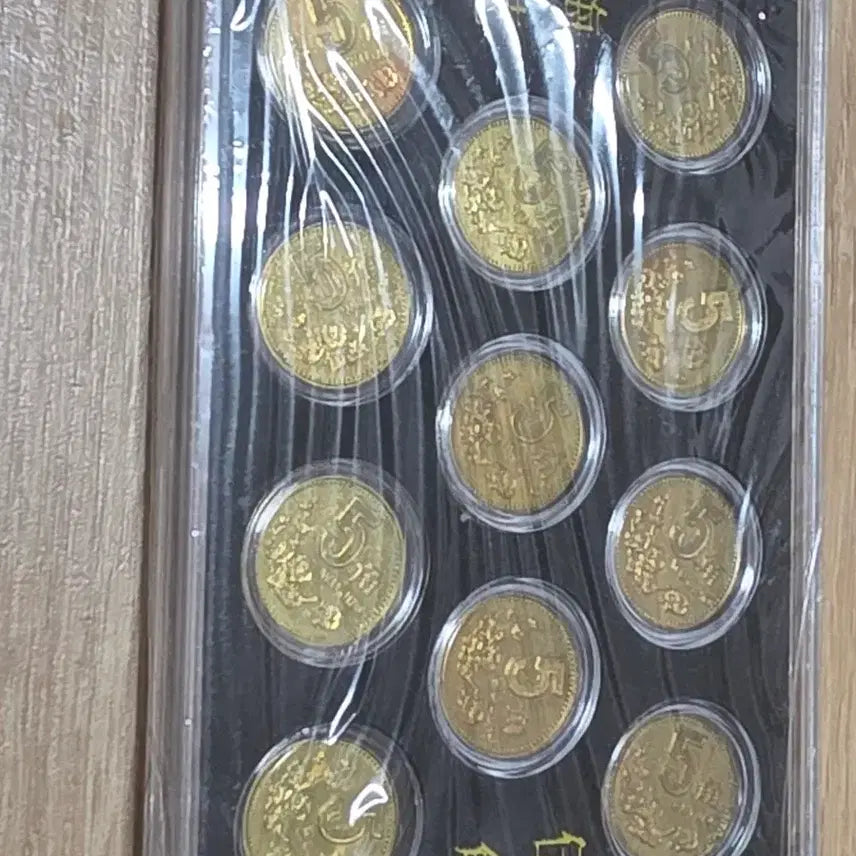 [BUNJANG] Plum Blossom 5-Angle Coin Set (1991-2001) / 매화오각 동전 1991-2001