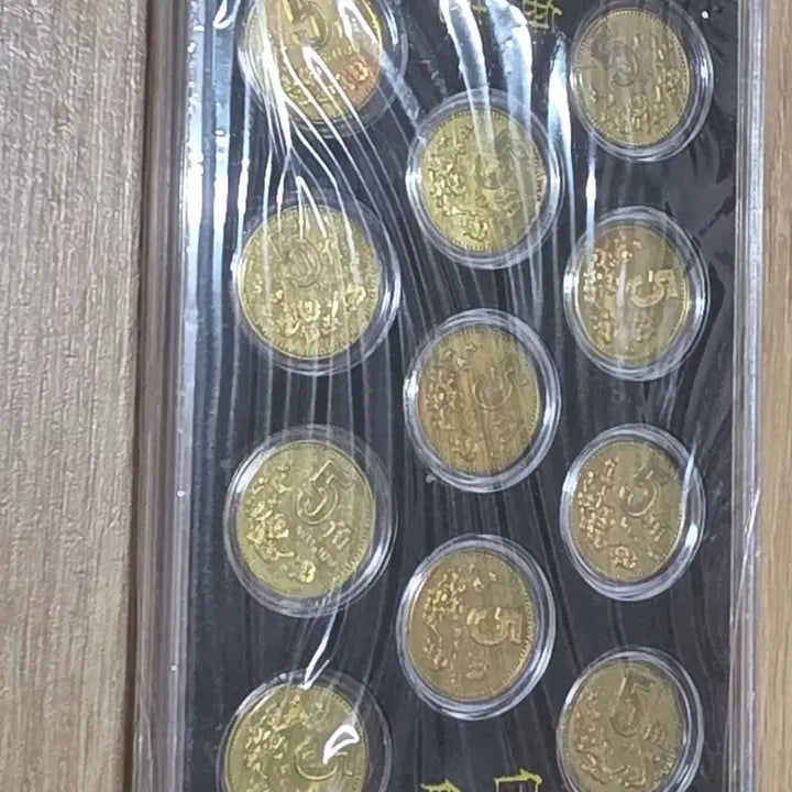 [BUNJANG] Plum Blossom 5-Angle Coin Set (1991-2001) / 매화오각 동전 1991-2001
