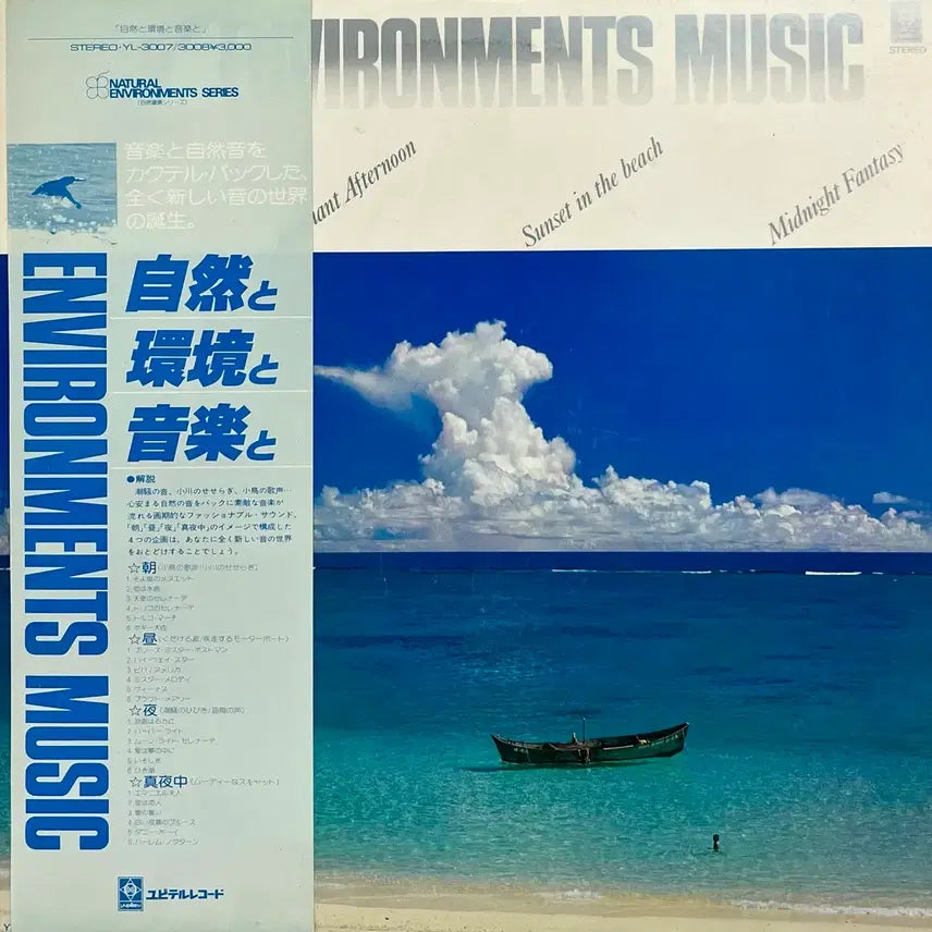 [BUNJANG] Field Music Environments Music LP / 필드뮤직 자연과 환경과 음악 Environments Music LP