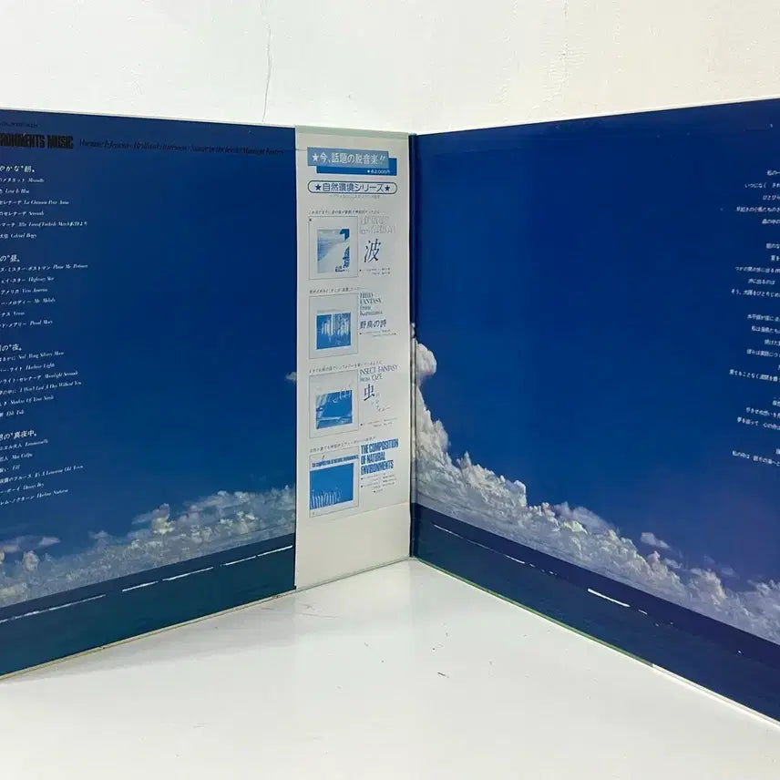 [BUNJANG] Field Music Environments Music LP / 필드뮤직 자연과 환경과 음악 Environments Music LP