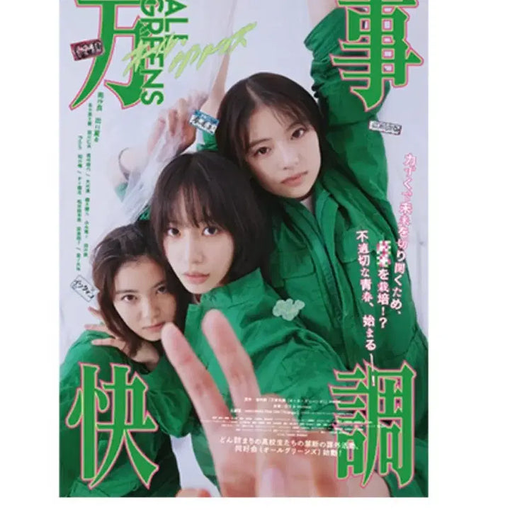 [BUNJANG] All Greens A3 Original Poster / 새상품 당일발송) 올 그린스 A3 오리지널 포스터