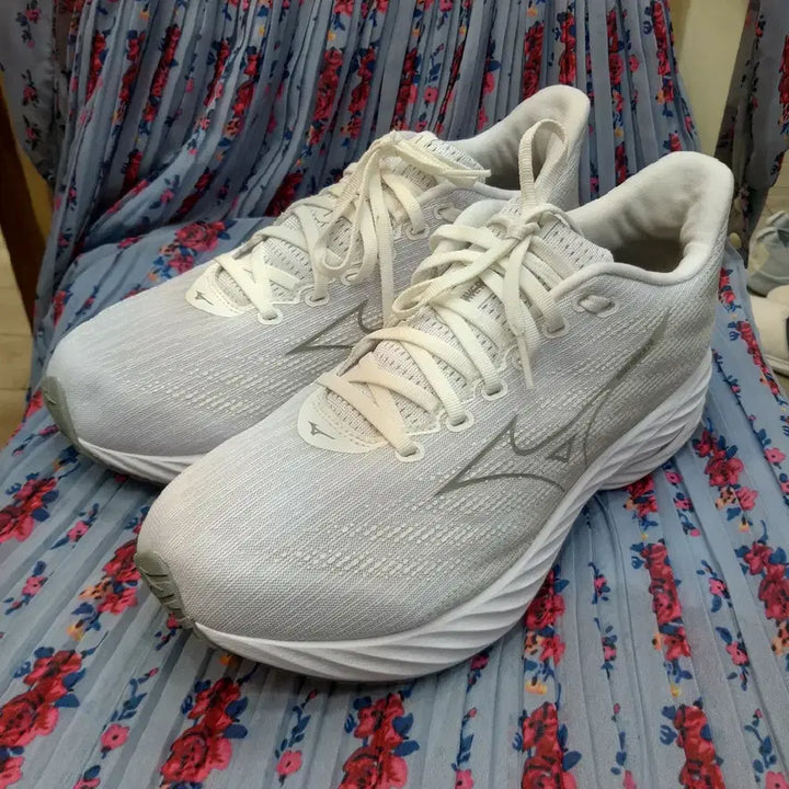 [BUNJANG] Mizuno Wave Rider Tennis Shoes 280mm / 미즈노 웨이브 라이더 280mm
