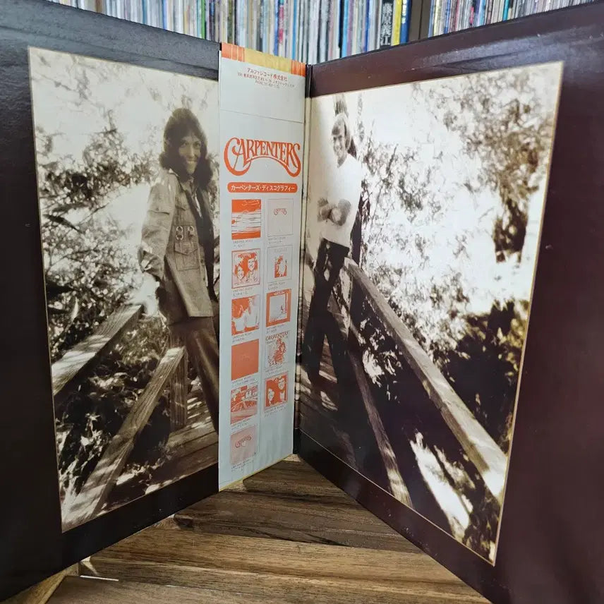 [BUNJANG] Carpenters The Singles 1969-1973 LP (Japanese Reissue) / (미국 소프트 록 듀오 카펜터스, 초기 히트곡) Carpenters LP