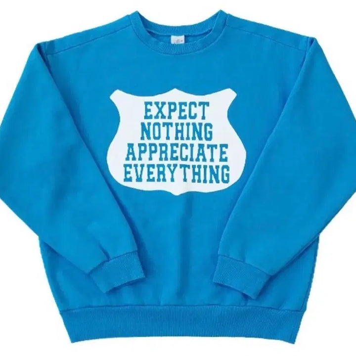 [BUNJANG] Collect Pieces ENAE Sweatshirt L / 컬렉트피시스 ENAE 맨투맨 L
