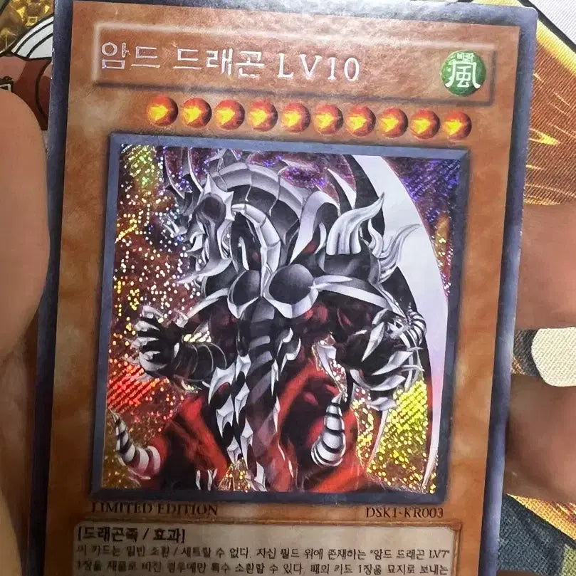 [BUNJANG] Yu-Gi-Oh! Armed Dragon LV10 / 유희왕 암드드래곤lv10