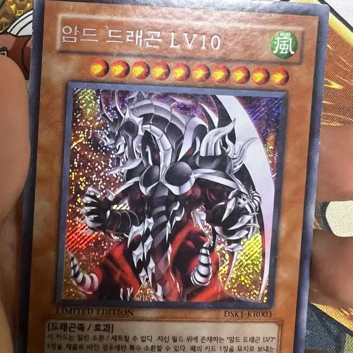 [BUNJANG] Yu-Gi-Oh! Armed Dragon LV10 / 유희왕 암드드래곤lv10