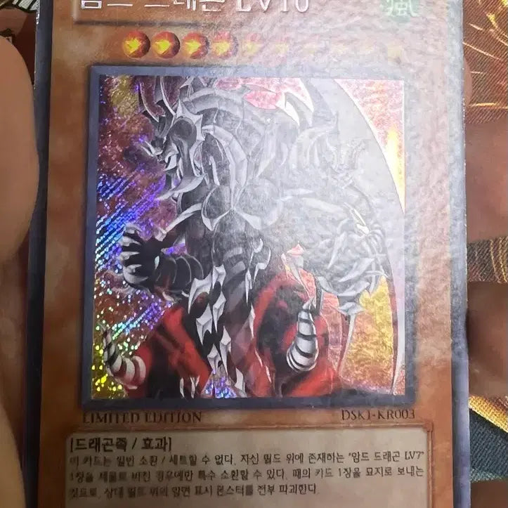[BUNJANG] Yu-Gi-Oh! Armed Dragon LV10 / 유희왕 암드드래곤lv10