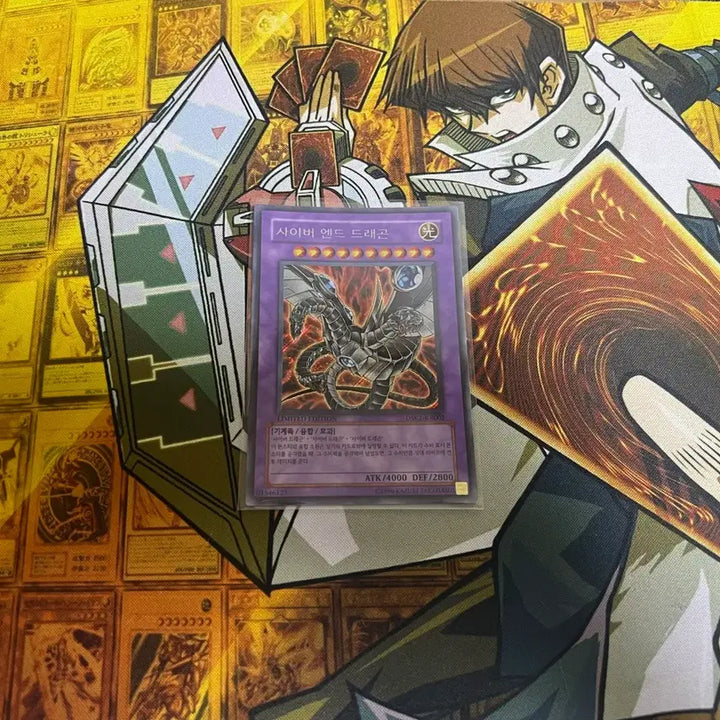 [BUNJANG] Yu-Gi-Oh! Darkened Cyber End Dragon / 유희왕 흑화 사이버엔드드래곤