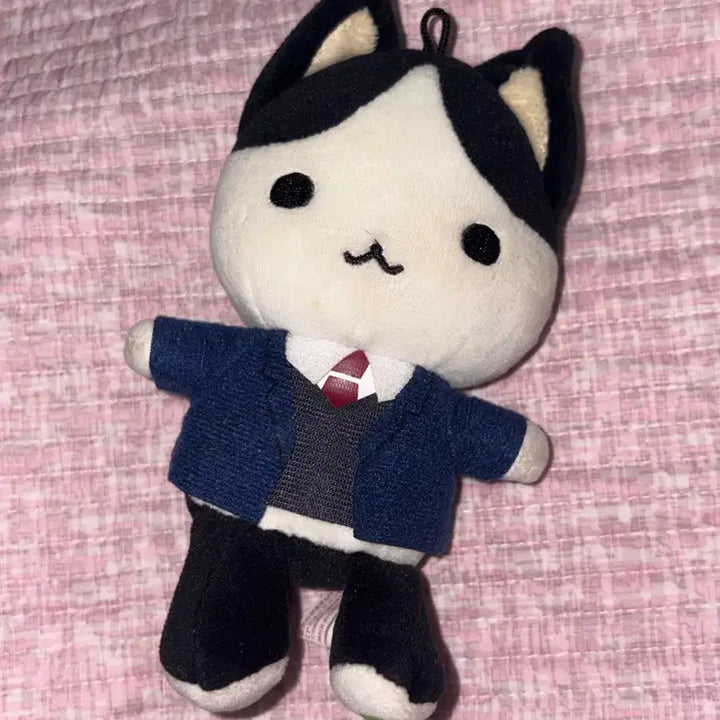 [BUNJANG] Atsumi Mutsumi "What Do I Do If I&