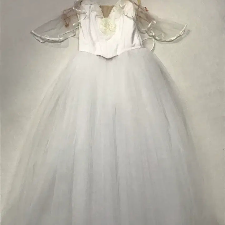 [BUNJANG] Ballroom Ballet Costume with Detachable Wings / 발레의상