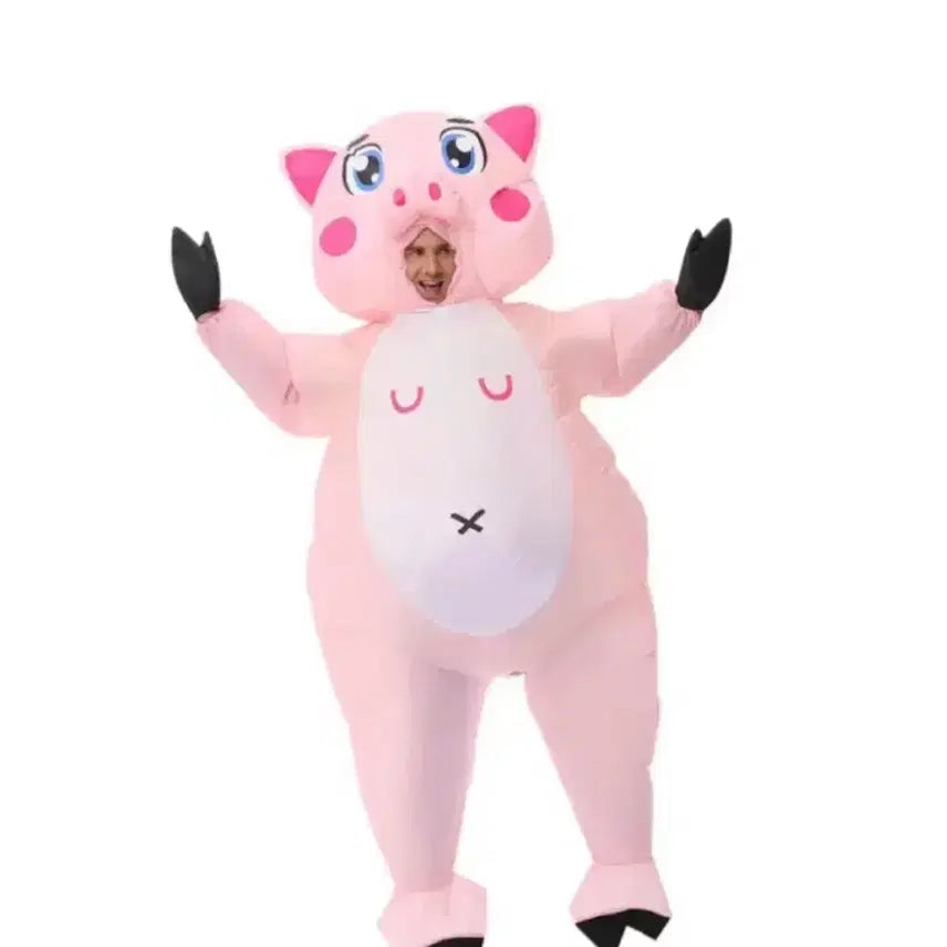 [BUNJANG] Pig Air Suit Graduation Photo Costume Rental / 돼지 졸사