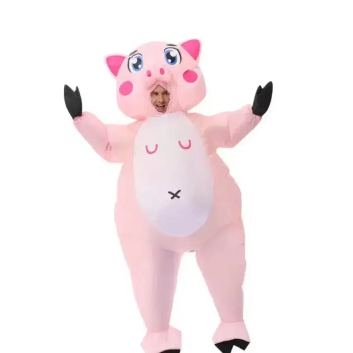 [BUNJANG] Pig Air Suit Graduation Photo Costume Rental / 돼지 졸사