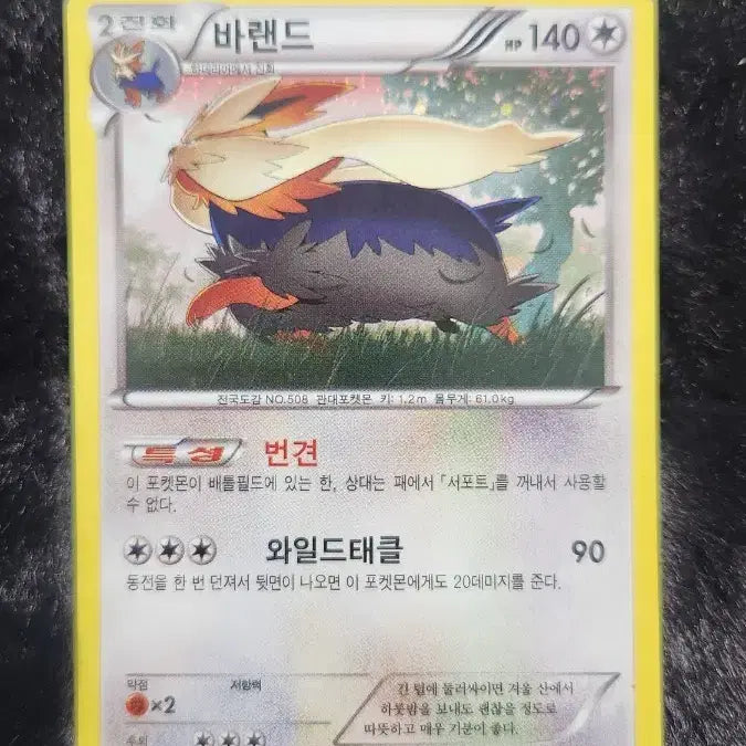 [BUNJANG] Pokemon Card Barande / 포켓몬 카드 바랜드