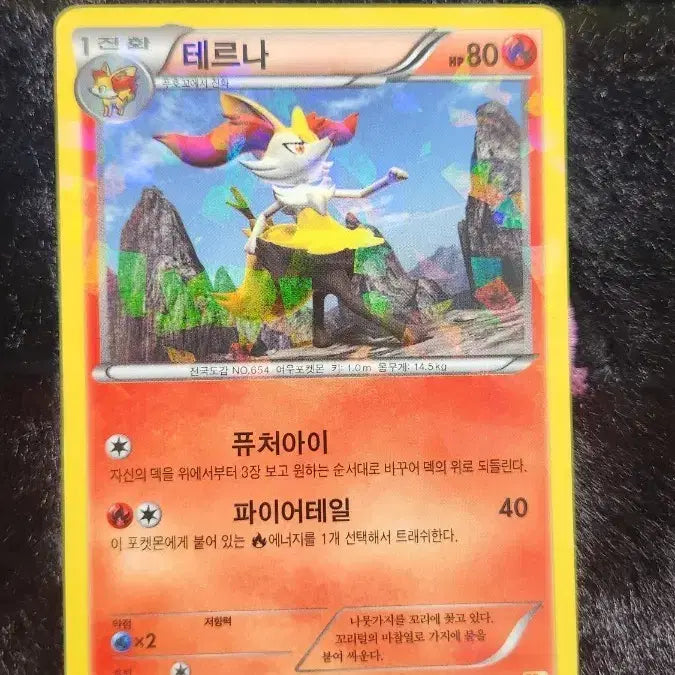 [BUNJANG] Pokemon Card Terna / 포켓몬 카드 테르나