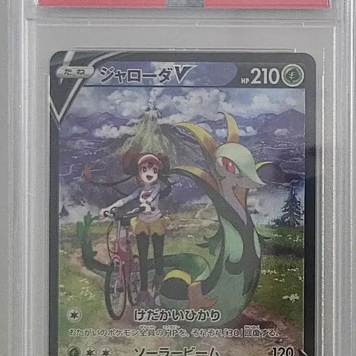 [BUNJANG] Pokemon Card Charizard V CSR PSA 10 Japanese / PSA10 포켓몬 카드 샤로다 V csr 일판