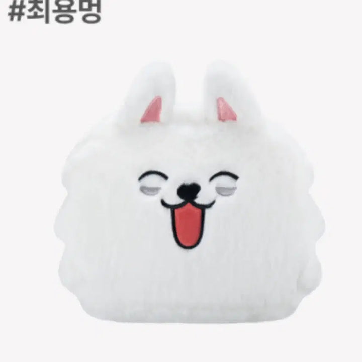 [BUNJANG] TXT Yeonjun "Ppalljatu" Face Pouch Whizzy / Txt 투바투 뿔바투 용멍 페이스 파우치 위찌 whizzy