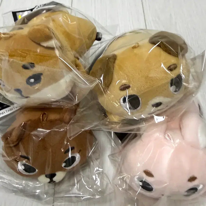 [BUNJANG] Day6 Decade Jeontu Raying Denimals Bundle Set / 데이식스 데케이드 전투 라잉 데니멀즈 일괄 판매