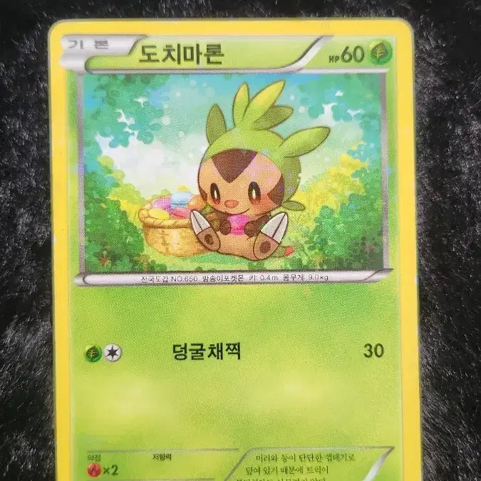 [BUNJANG] Pokemon Card Torchic / 포켓몬 카드 도치마론
