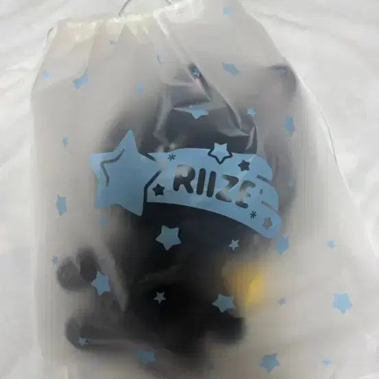 [BUNJANG] RIIZE 40cm Toon Ddak Plush / 라이즈 40cm 토냥덕
