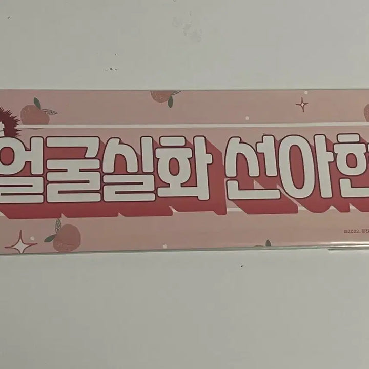 [BUNJANG] Demutjup Seon Ahyeon Popup Slogan / 데못죽 선아현 팝업 슬로건