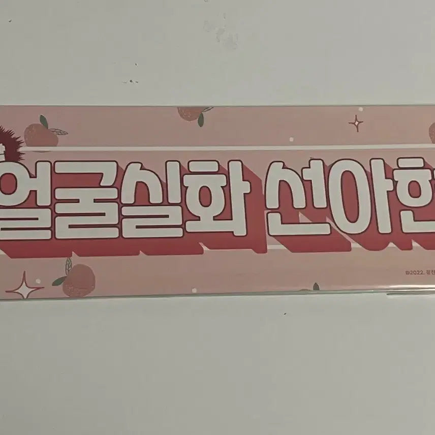 [BUNJANG] Demutjup Seon Ahyeon Popup Slogan / 데못죽 선아현 팝업 슬로건