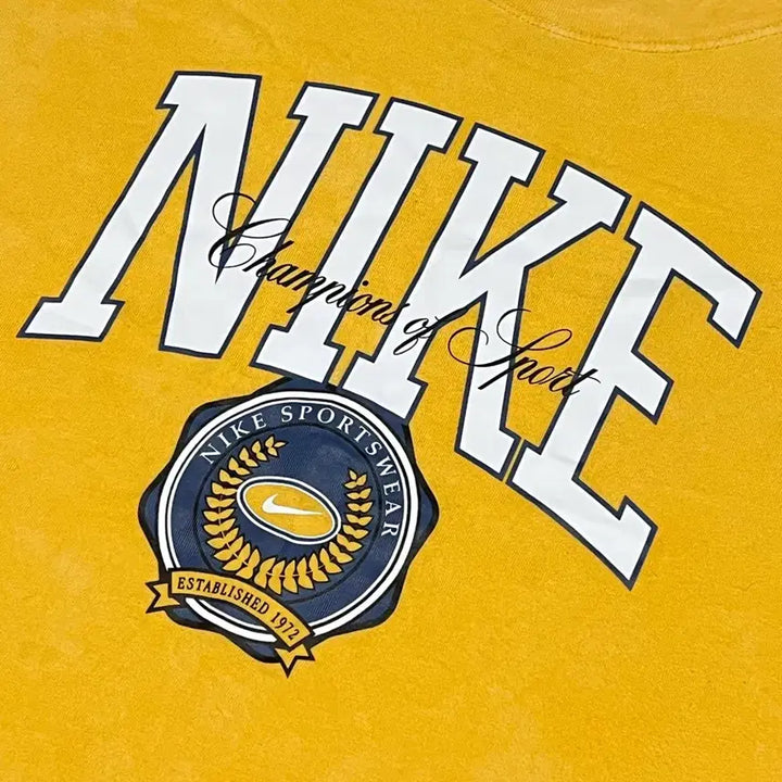 [BUNJANG] Nike Spellout Vintage Wash T-Shirt / 나이키 스펠아웃 빈티지워싱 티셔츠