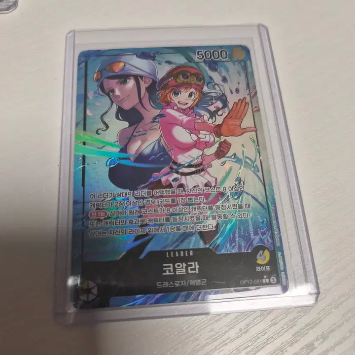 [SOLD OUT] 원피스카드