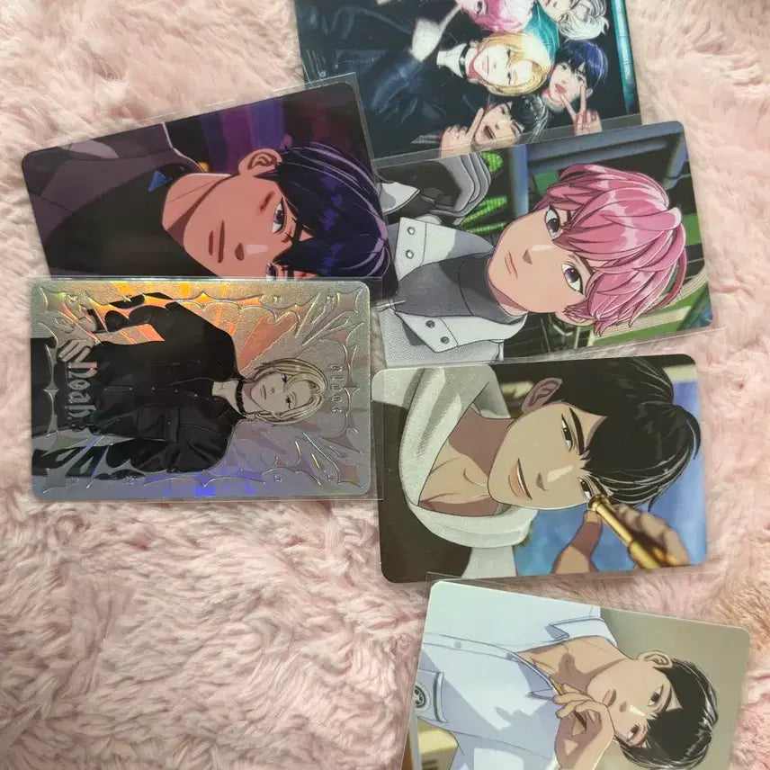 [BUNJANG] PLAVE Bundle Set Photocard / 플레이브 포카일괄양도