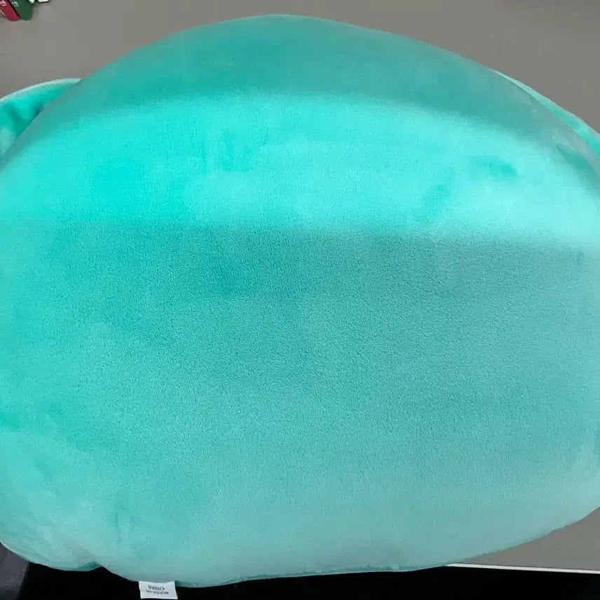 [BUNJANG] CRAVITY Taeyoung Yongti Cushion / 크래비티 태영 용티 쿠션