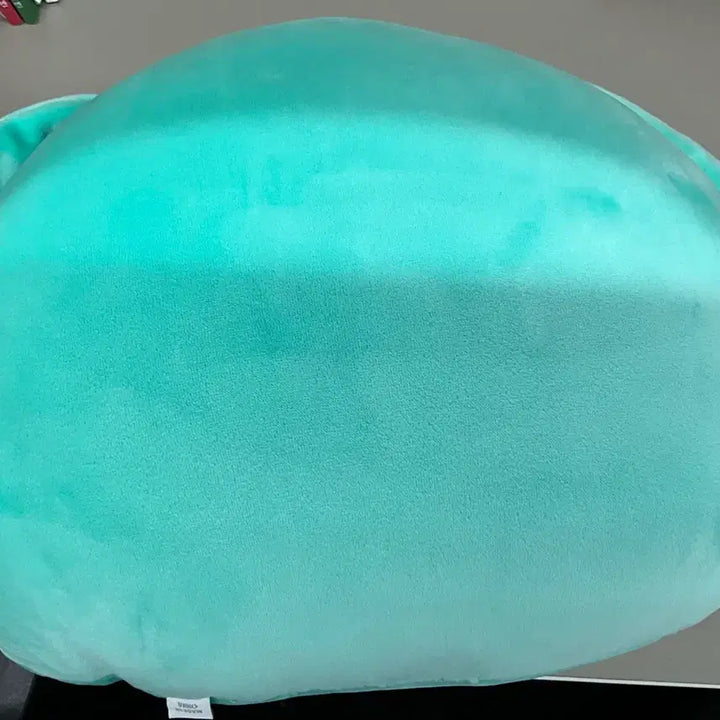 [BUNJANG] CRAVITY Taeyoung Yongti Cushion / 크래비티 태영 용티 쿠션