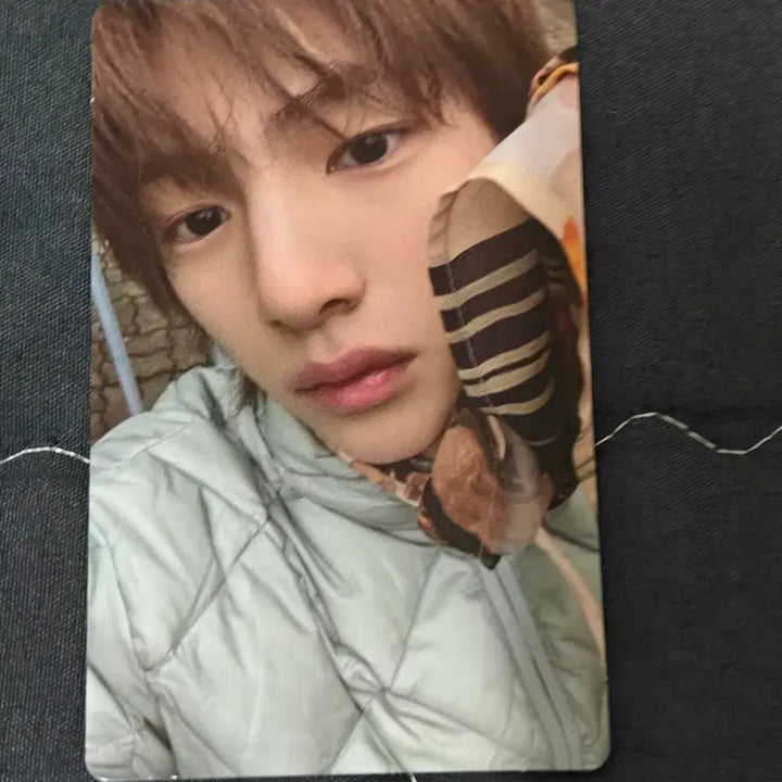 [BUNJANG] CORTIS Joohyun Green Green Weverse POB Photocard / CORTIS 코르티스 주훈 그린그린 위버스 특전 포카
