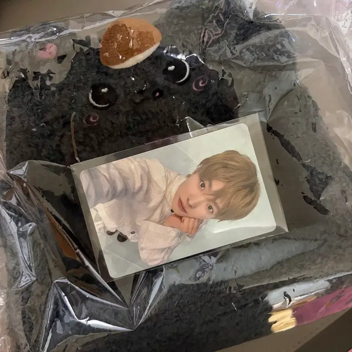 [BUNJANG] Riku Yushi Multi Tray Photocard Bundle Set / 리쿠 쿠리 멀티트레이 5만원 포카 유우시