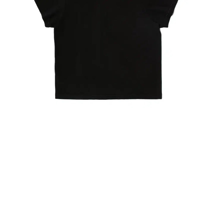 [BUNJANG] WEGO Slim Fit T-Shirt Black / [3] 뤡코즈 슬림 티 블랙 판매