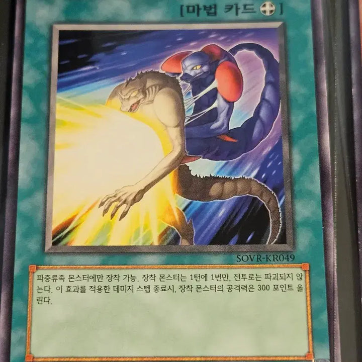 [BUNJANG] Yu-Gi-Oh! Skill Drain, Armored Whitebear / 유희왕 스킬 드레인, 아머드 화이트베어