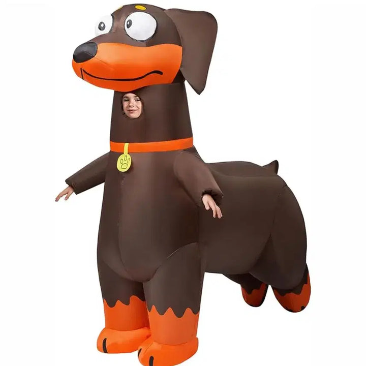 [BUNJANG] Dachshund Air Suit Costume Rental / 졸업사진 졸사 닥스훈트 강아지 개 에어슈트 풍선옷 대여 컨셉